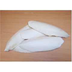 Os de seiche (sachet de 5 pièces)